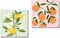 2 Pack Framed Paint by Numbers Kit for Kids,Easy Acrylic Paint by Numbers Kits on Canvas,Fruit Oil Painting Paint by Number for Adults Beginners for Home Wall Decor (8x8inch)